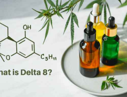 What Is The Difference Between Delta 8 and CBD?